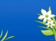 Spring blue green Wallpaer