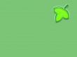 Green background Wallpaer