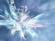 Ice flower Wallpaer