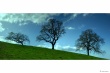 Three brothers Wallpaer