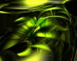 AMD jungle Wallpaer