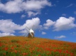 Windmill Wallpaer