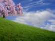 Beautiful day Wallpaer