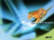 Acer tiger Wallpaer