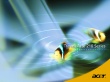Acer fish Wallpaer