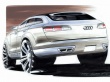 Audi Pikes Peak back Wallpaer