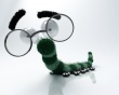 Funny bug Wallpaer