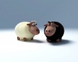 Sheep talk Wallpaer