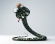 Funny snake Wallpaer
