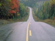 Forest road Wallpaer