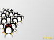Penguins plan Wallpaer