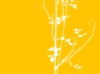 White branch Wallpaer