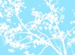 White branch on blue Wallpaer