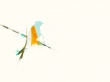 Aqua throwback bird Wallpaer