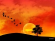 Summer end Wallpaer
