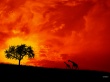 Twilight Wallpaer