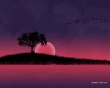 Waiting for tomorrow Wallpaer