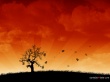 Wind of love Wallpaer