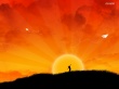 Be free Wallpaer