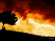 Storm of feelings Wallpaer