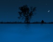 Alone Wallpaer