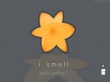 Domino flower Wallpaer