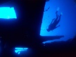 Cartenser Wreck Wallpaer