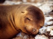 A soft pillow Wallpaer
