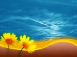 Summer everywhere Wallpaer