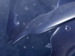 Abstract items Wallpaer