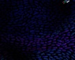 IBM blue shapes Wallpaer