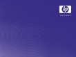 HP purple Wallpaer