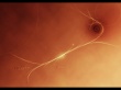 Enlight my way 2 Wallpaer