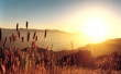 Vista field in the sun Wallpaer