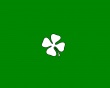 Shamrock Wallpaer