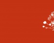 Wall red flowers Wallpaer