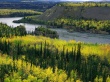 Yukon River Wallpaer