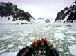 Antarctic Travels Wallpaer