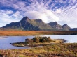 Ben Loyal Wallpaer