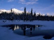 Bow River Valley Wallpaer