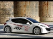 Peugeot 207 side Wallpaer
