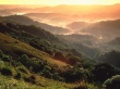 El Yunque Rainforest Wallpaer