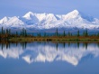 Majestic Reflections Wallpaer