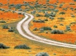 Antelope Valley Wallpaer