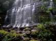 Russell Falls Wallpaer