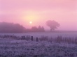 Frosty Farmland Wallpaer
