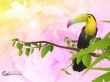 Wajidesigns Wallpaer
