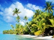 Beach paradise Wallpaer