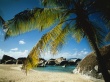 Beach look Wallpaer