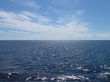 Blue Sea Wallpaer
